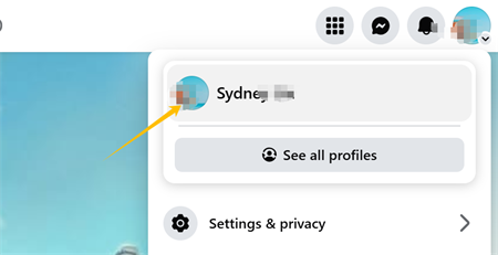 Facebook'ta profil resimini tıklayın
