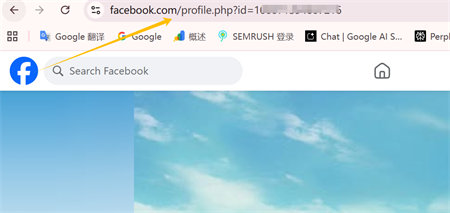 facebook profil bağlantısı